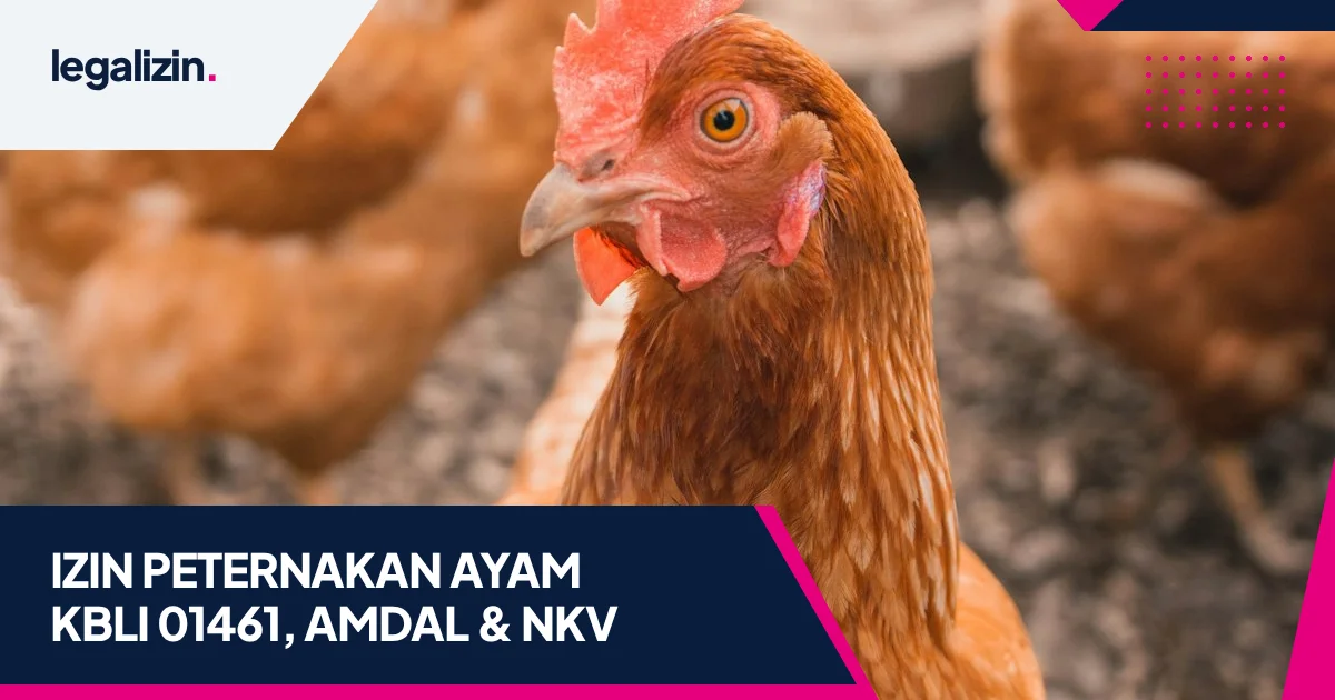 Panduan Syarat Izin Usaha Peternakan Ayam 2026: Alur KBLI 01461, Rekomendasi Teknis, dan OSS RBA